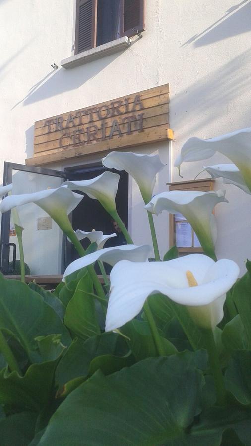 Trattoria Ceriati Room & Breakfast Salsomaggiore Terme Buitenkant foto